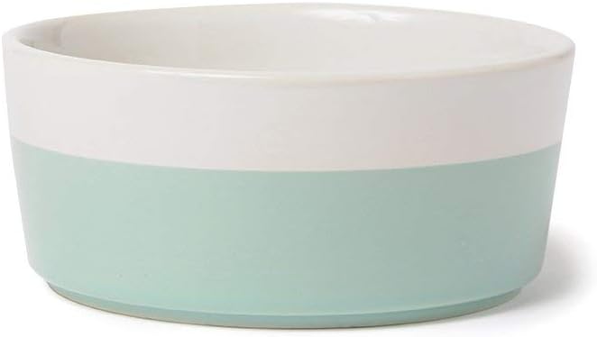 Waggo Dipper Ceramic Dog Bowl for Small and Large Breeds - Heavyweight and Durable Pet Food and Water Dish Crock, Dishwasher Safe, Modern (Mint, Small)