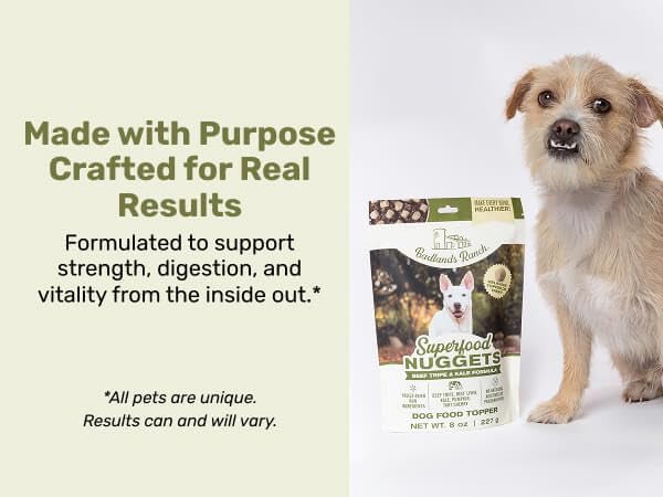 Superfood Nuggets- Premium, Freeze-Dried raw Dog Food Topper or Treat. Powerful Nutrient-Dense Ingredients. No Artificial additives. Beef Tripe and Kale Formula 8oz - 4pk Bundle