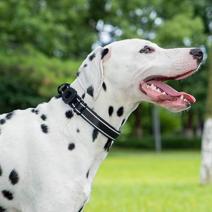 JSXD AirTag Dog Collar, Night Reflective Nylon Dog Collar for Small Medium Large Dogs,Lockable Quick Release Buckle,Padded Breathable Pet Collar with AirTag Holder (Pink, Medium)