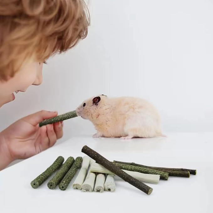 300g Guinea Pig & Rabbit Chew Toys with Apple & Timothy Sticks - Prevent Overgrown Teeth with Sweet Bamboo Treats - Ideal Rabbit Treats Included!