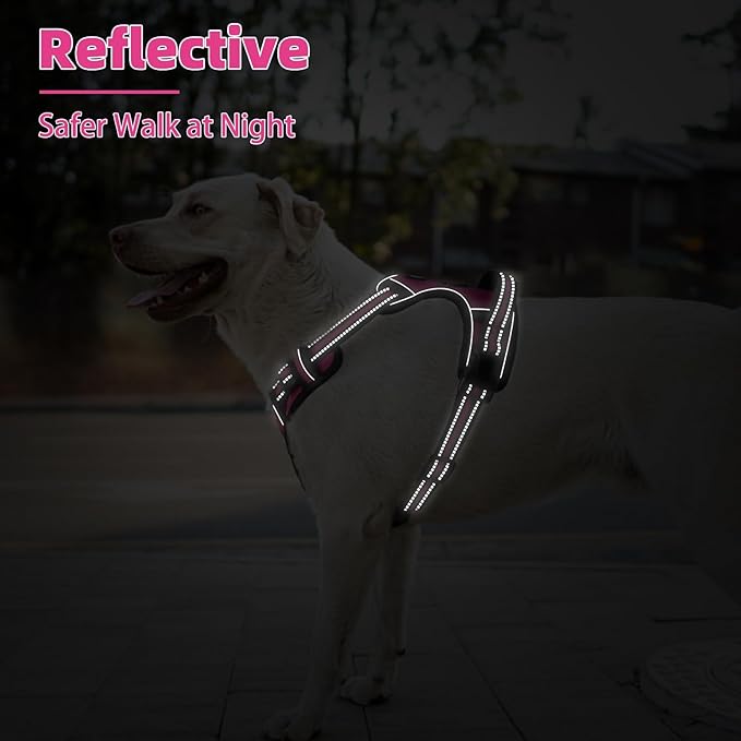 PUPTECK No Pull Dog Harness for Large, Adjustable Reflective Dog Harness with Handle Easy Control, Comfortable Soft Padded Pet Vest Harness for Large Dogs, Fuschia L