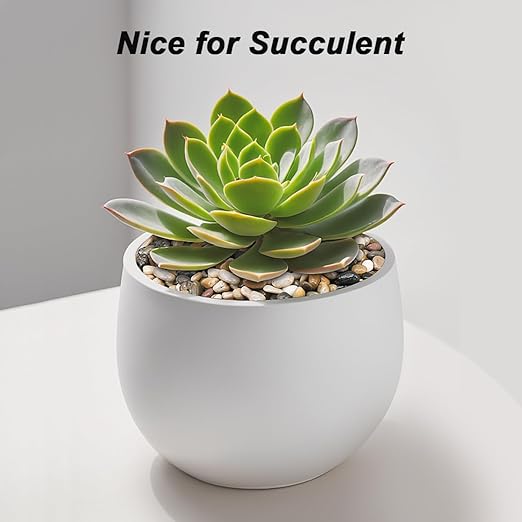 Succulent Rocks,Virekm River Rocks, Decorative Ornamental Pebbles Garden Landscaping Stones Gravel Filler for Home Decoration Flower Bed Fish Tank Plants Vases Succulents