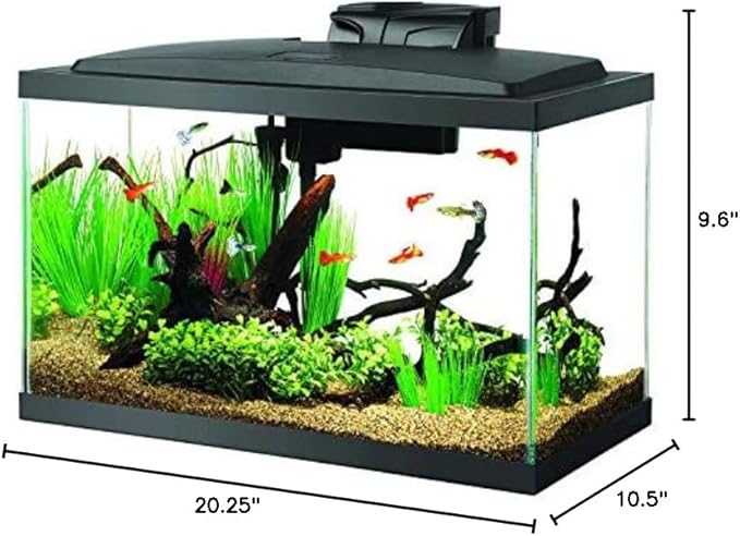 Aqueon Aquarium Fish Tank Starter Kit with LED Lighting 10 Gallon Fish Tank