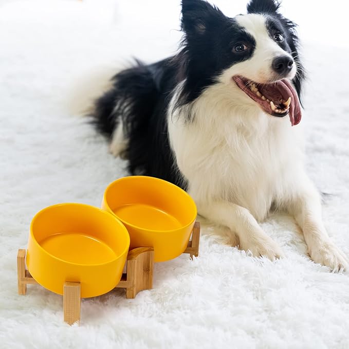 SPUNKYJUNKY 15° Slanted Ceramic Dog and Cat Bowl with Wooden Stand, Tilted Bulldog Food and Water Bowl No Slip Non-Spill for Cats Medium Dogs Big Face Pets 28.7 OZ (3.6 Cups, Yellow × 2)
