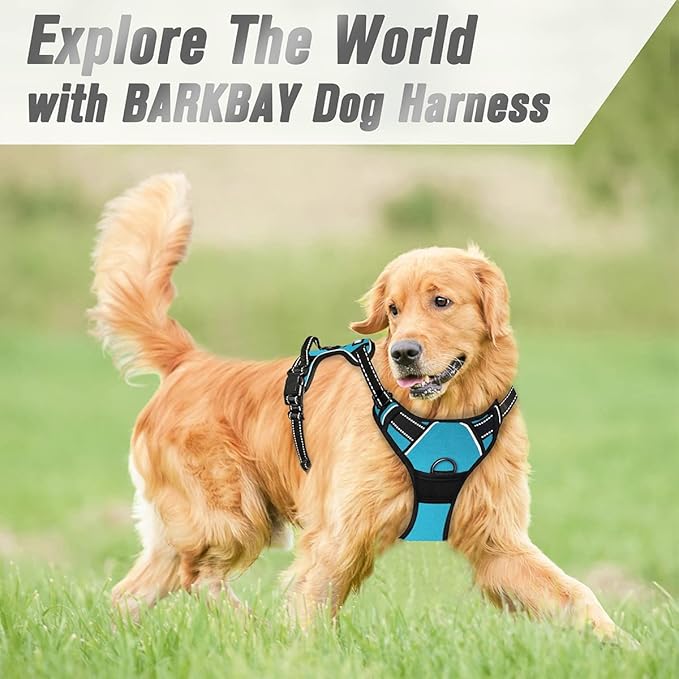 BARKBAY No Pull Dog Harness Front Clip Heavy Duty Reflective Easy Control Handle for Large Dog Walking(Blue,L)