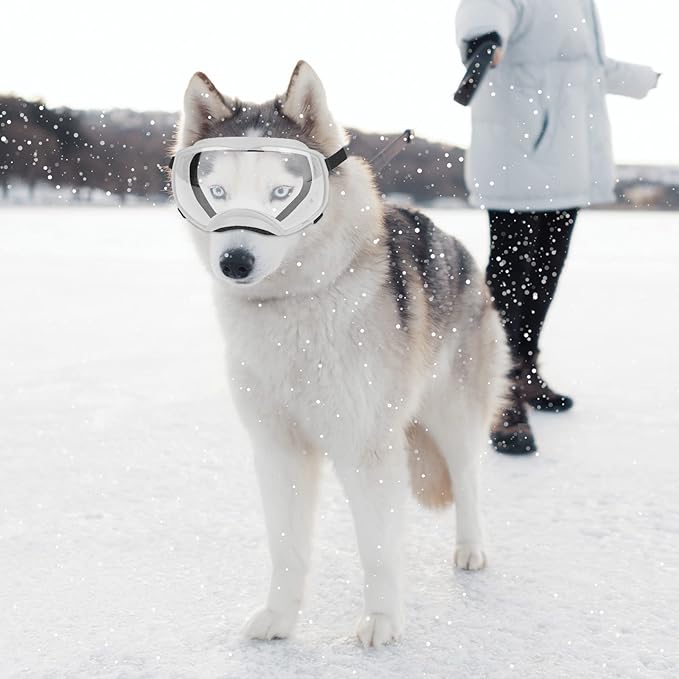 NAMSAN Clear Dog Goggles for Large Dogs, Wide Eyecup & Soft Frame, Anti-UV Sunglasses for Dogs Medium to Large Breed, Driving Dog Eye Protection, Windproof Dustproof, Adjustable, White Frame