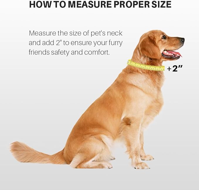 Hyhug Dog Collar with Quick Release Buckle, Nylon Adjustable Durable Cute Pet Collars for Medium Dogs, Boy and Girl(Medium, Red)