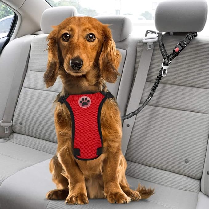 SlowTon Dog Seat Belt for Car, 2 Pack Dog Car Harness Seatbelt Adjustable with Elastic Bungee Buffer, 2 in 1 Pet Car Leash Headrest Restraint Dog Reflective Safety Tether (Black, Headrest+Clip)