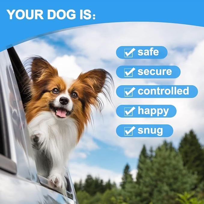 Dog Seat Belt Harness for Car,Dog Seatbelt of Coated Wire Leash Safety Restraint,No Chew Tether Cable Vehicle,Double Clips & Latch(Purple, 16 inch/40 CM)