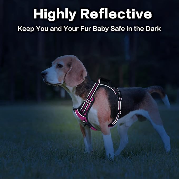 PoyPet No Pull Dog Harness, No Choke Front Clip Reflective Dog Vest with Soft Padded Vertical Handle, 3 Leash Attachments for Small Medium Large Dogs (Pink,M)