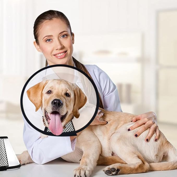 Plastic Pet Recovery Collars & Cones for Dogs and Cats After Surgery Adjustable Dog Neck Cone Surgical Elizabeth E-Collar Prevent Biting and Stop Licking Wound (M)