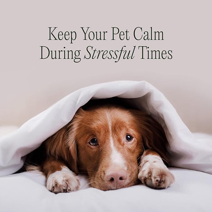 pawTree Chillax - Natural Calming Hemp Chews for Dogs and Cats - Formula to Relieve Stress and Tension; Ease Travel, Separation Anxiety and Soothe Fear - Small Soft Chews (60 Count)