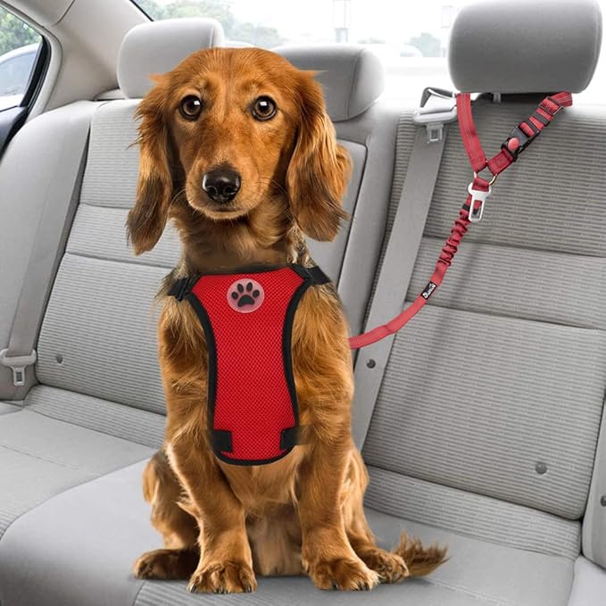 SlowTon Dog Seat Belt for Car, 2 Pack Dog Car Harness Seatbelt Adjustable with Elastic Bungee Buffer, 2 in 1 Pet Car Leash Headrest Restraint Dog Reflective Safety Tether (Red, Headrest+Clip)