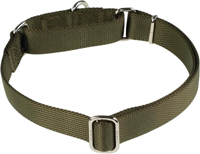 Hyhug Pets Premium Upgraded Heavy Duty Nylon Anti-Escape Martingale Collar for Boy and Girl Dogs Comfy and Safe - Professional Training, Daily Use Walking. (Army Green, Large)