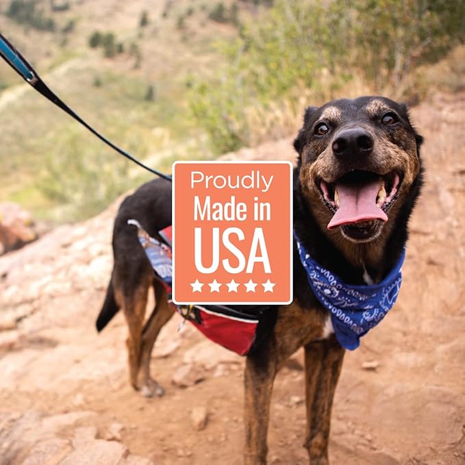 Smart Cookie All Natural Soft Dog Treats - Shrimp & Coconut - Healthy Dog Treats for Allergies, Sensitive Stomachs - Chewy, Grain Free, Human-Grade, Made in The USA - 5oz Bag, 1 Pack