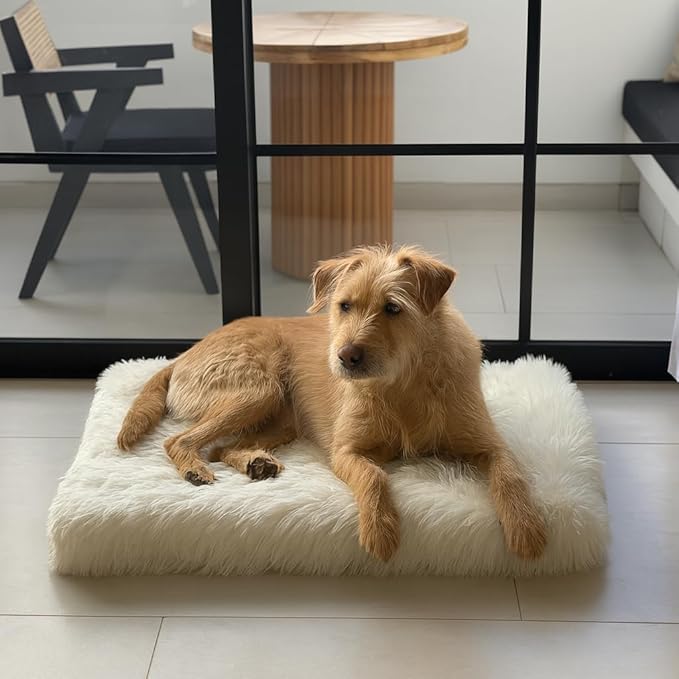 IHAPPYDOG Luxury Faux Fur Orthopedic Dog Beds, Memory Foam Crate Bed for Small, Medium, Large and XL Pets, Fluffy Pet Bed with Waterproof and Washable Cover, Fits Crates (White, 35" x 23")