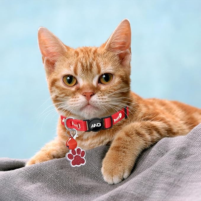 Personalized Breakaway Cat Collars Glow-in-The-Dark with ID Tag, Bell - Safety Quick - Release, Customizable for Female Male Kittens & Cats (Red)