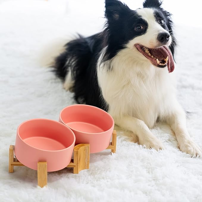 SPUNKYJUNKY 15° Slanted Ceramic Dog and Cat Bowl with Wooden Stand, Tilted Bulldog Food and Water Bowl No Slip Non-Spill for Cats Medium Dogs Big Face Pets 28.7 OZ (3.6 Cups, Pink × 2)