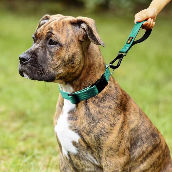 PLUTUS PET Short Dog Leash, Reflective Nylon Padded Handle, Strong Traffic Leash with Carabiner Clip, Perfect for Large or Medium Dogs (10”,Teal)