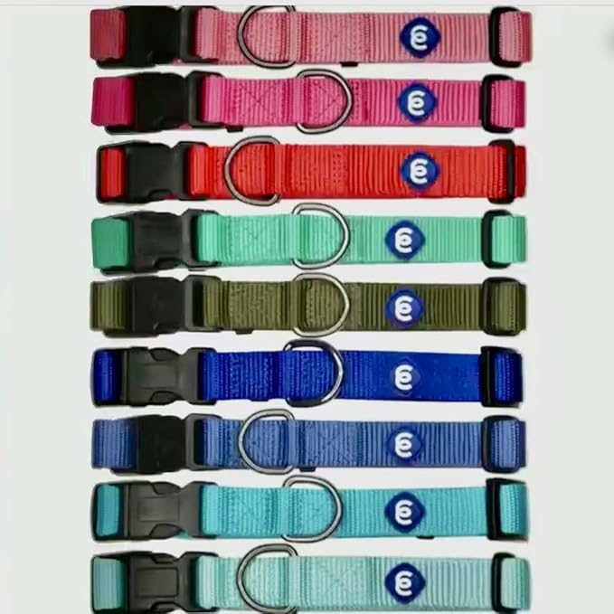 Blueberry Pet Essentials Small Dog Collar in Flint Gray | Adjustable & Eco-Friendly Durable Nylon Strap | Classic Collar for Small Dogs, Boy & Girl Pets