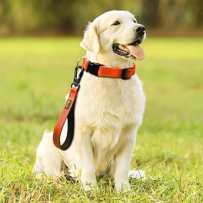 PLUTUS PET 10” Short Dog Leash, Reflective Nylon Padded Handle, Strong Traffic Leash with Carabiner Clip, Perfect for Large or Medium Dogs(10”,Orange