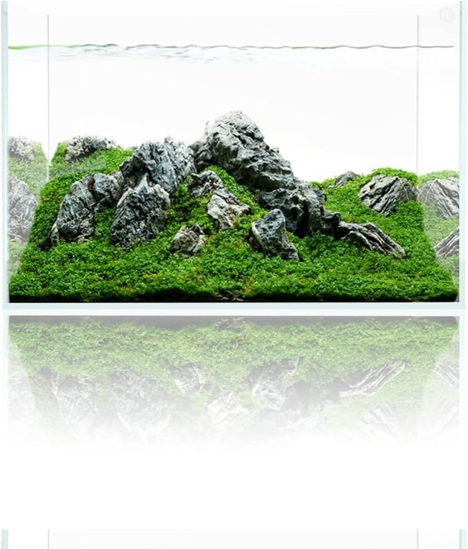 Fzone 10 Gal Rimless Low Iron Fish Tank Nova Clear Ultra-White 45° Mitered Edges Translucent Glass Anata Series Aquarium w/Black Foam Leveling Mat(S45-W30)