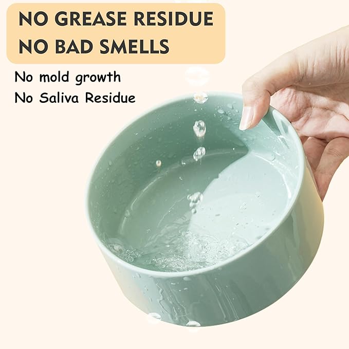 Wordcam Elevated Ceramic Dog Bowls,Raised Dog Dish with Stand,Pet Food and Water Feeding Bowls for Small Medium Dogs(6.5''Tall-28 Oz-3.6 Cups)