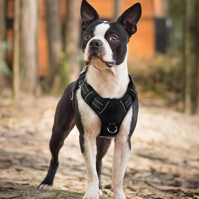 rabbitgoo Dog Harness Small Sized, No Pull Dog Vest with 3 Buckles, Adjustable Soft Padded Pet Harness with Easy Control Handle and Reflective Strips, Black, S
