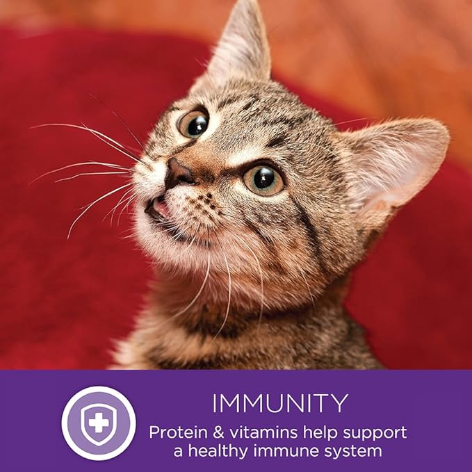 Wellness Healthly Indulgence Morsels Adult Wet Cat Food, Natural, Protein-Rich, Grain Free, 3 Ounce Pouch, 24 Pack, (Tuna)