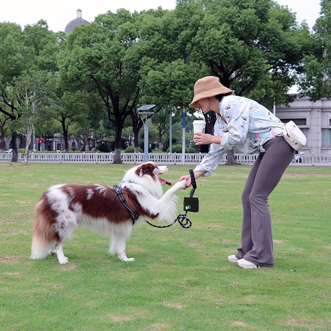 COOWONE Dog Treat Pouch with Pet Training Clicker, Detachable Dog Puppy Training Treat Bag, 900D Oxford Cloth Magnetic Closure Small Dog Poop Bag Holder for Travel or Outdoor Use