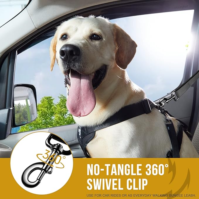 OneTigris Dog Safety Vest Harness, REX Car Use Dog Harness Adjustable Pet Harness with Leash for Medium Large Dogs(Black,L)