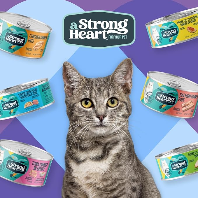 A Strong Heart Canned Wet Cat Food, Shredded Chicken Dinner in Gravy - 5.5 oz Cans (Pack of 24), Made in The USA with Real Chicken
