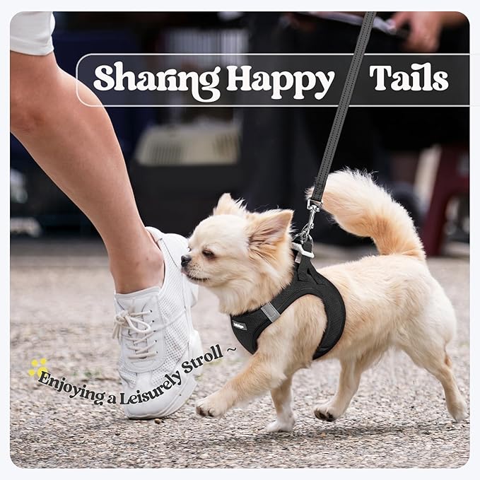 rabbitgoo Dog Harness Small Sized and Leash Set, Step in Soft Light Puppy Vest, Breathable Mesh Pet Harness, Reflective for Safe Easy Walking, Black XXS