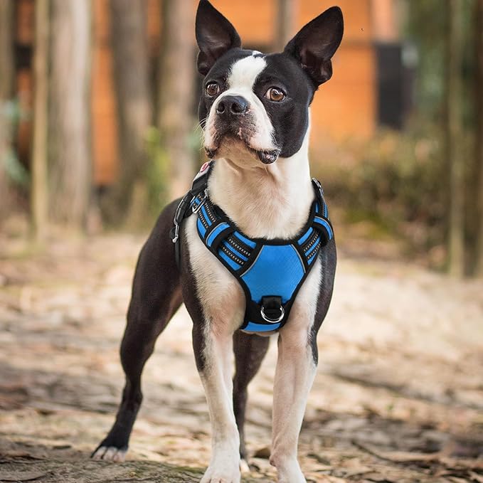 rabbitgoo Dog Harness Small Sized, No Pull Dog Vest with 3 Buckles, Adjustable Soft Padded Pet Harness with Easy Control Handle and Reflective Strips, Blue, S