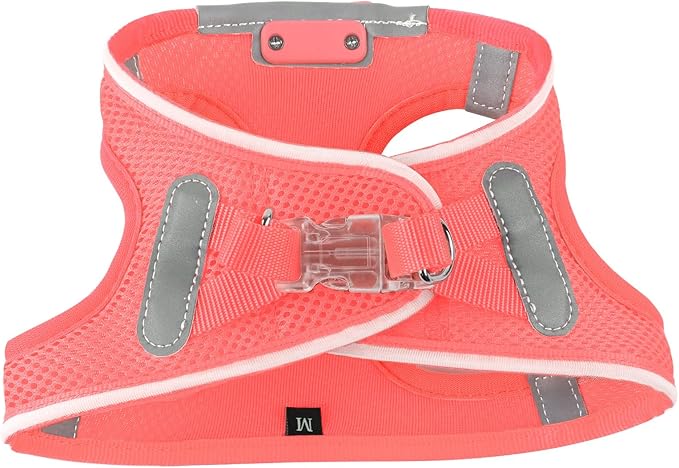 Light Up Dog Harness,Rechargeable LED Dog Harness for Small Medium Large Dogs,Reflective Lighted Safety Vest for Night Walking & Camping,Lightweight & Adjustable,Fluorescent Pink,M