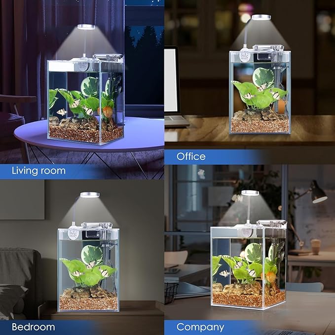Desktop Glass Fish Tank 1.25 Gallons Small Aquarium Set, Self Cleaning Filter System Bright LED Light Gravel Plant Cleaning Tool, Betta Small Space Kit Easy Setup Space Saving Design