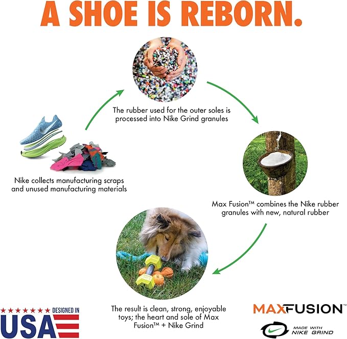 Max Fusion with Nike Grind, Arlee Meteor Dog Toy, Chew Toy for Play, Fetch, Tug, M