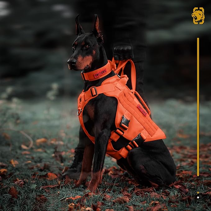 OneTigris Tactical Dog Harness for Small Dogs, No Pull Small Dog Vest Harness Breathable Military Dogs Molle Vests with Handles, Harness for Walking Hiking Training (Orange, XS)