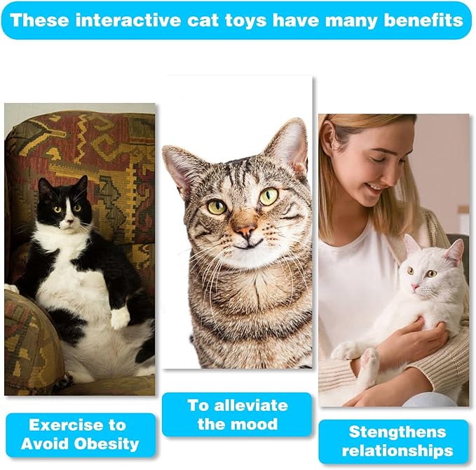 Retractable Cat Toy Wand, 12 Packs Interactive Cat Feather Toys, 9 Assorted Teaser Refills with Bell for Kitten (Pink)