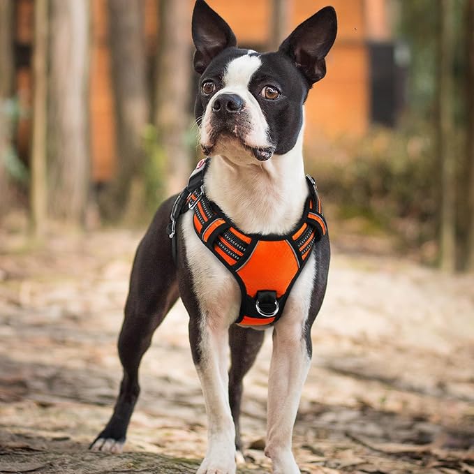 rabbitgoo Dog Harness Small Sized, No Pull Dog Vest with 3 Buckles, Adjustable Soft Padded Pet Harness with Easy Control Handle and Reflective Strips, Orange, S