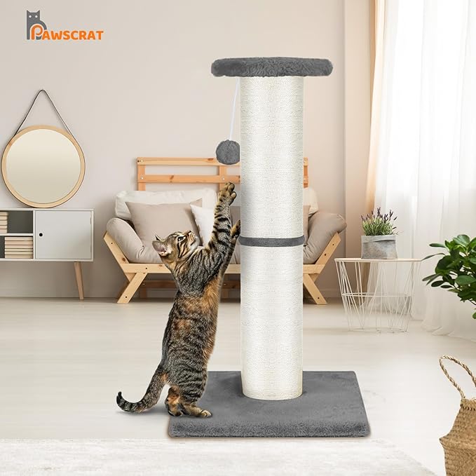 PAWSCRAT Cat Scratching Post 32" Tall, Large Diameter Natural Sisal Cat Scratch Post with Dangling Ball, Scratch-Resistant and Durable for Indoor Cats, Protect Your Furniture, LightGrey