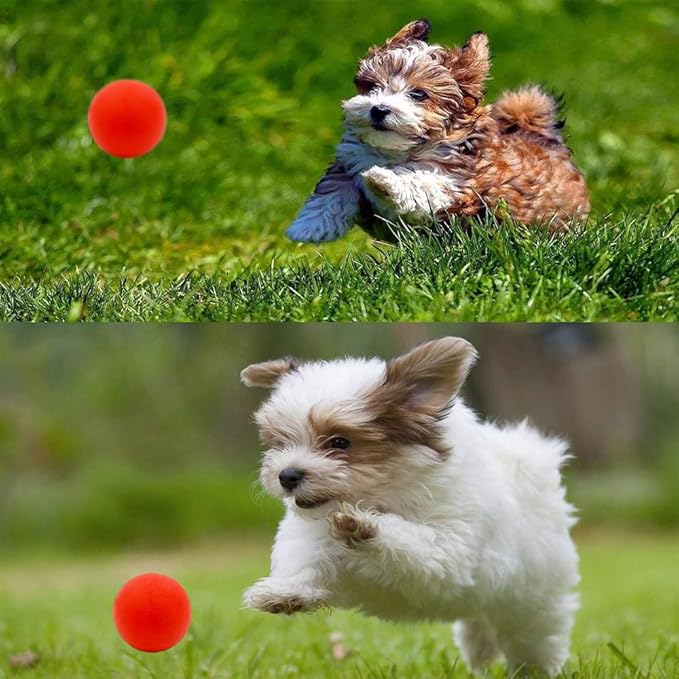 Puppy Balls - Pack with Different Functions & Teething Toys for Small Dogs, Squeaky Dog Balls, Rubber Chew Toys for Enrichment