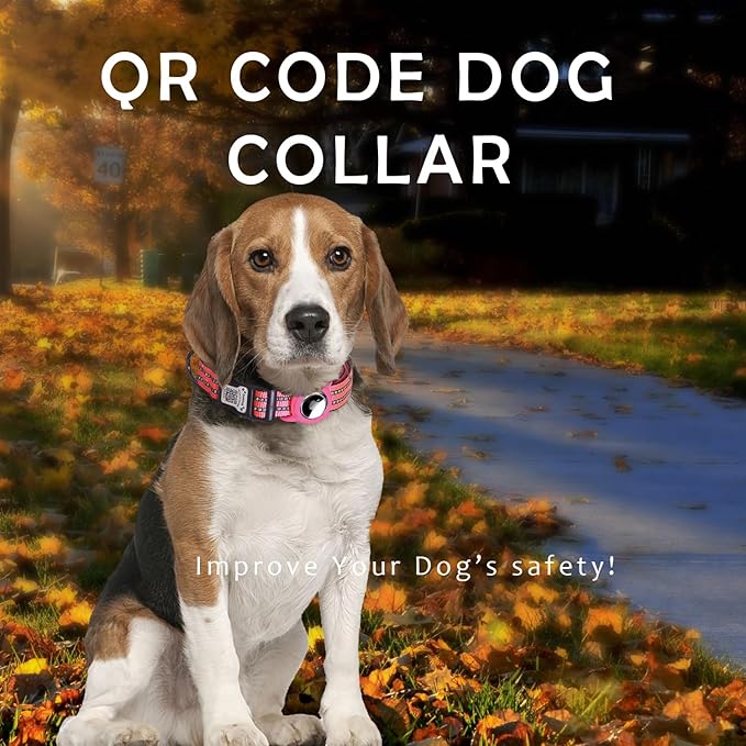 Reflective Dog Collar with Apple AirTag Holder & QR Code Pet ID Tag,Soft Nylon Adjustable Dog Tracker Collar with Safety Lock for Medium Dogs (Rose Red, M)