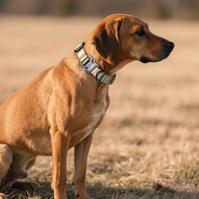 Airtag Dog Collar - Leather Dog Collar with Airtag Holder| IP68 Waterproof AirTag Holder with Metal Buckle, Comfortable GPS Dog Collars Tracker for Medium Large Dogs (Champagne Gold, XL)