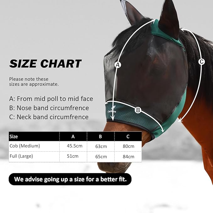 Horse Fly Mask Large Space Breathable UV Protection Equine Mask with Reflective Features on Ears Hunter Green L