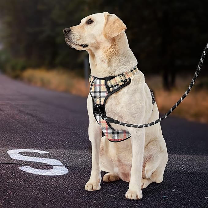 IVY&LANE No Pull Dog Harness with Leash Set, Reflective No Choke Pet Vest,Adjustable Oxford Dog Vest Harness with Easy Control Handle for Medium Lagre Dogs (Checkered Beige,M)