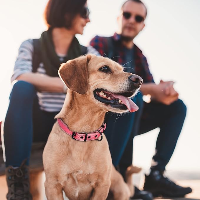 Fida Heavy Duty Dog Collar, Ultra Comfortable Soft Neoprene Padded, Adjustable Reflective Nylon Pet Collar with Durable Metal Belt Buckle for Small Breeds (S, Pink)