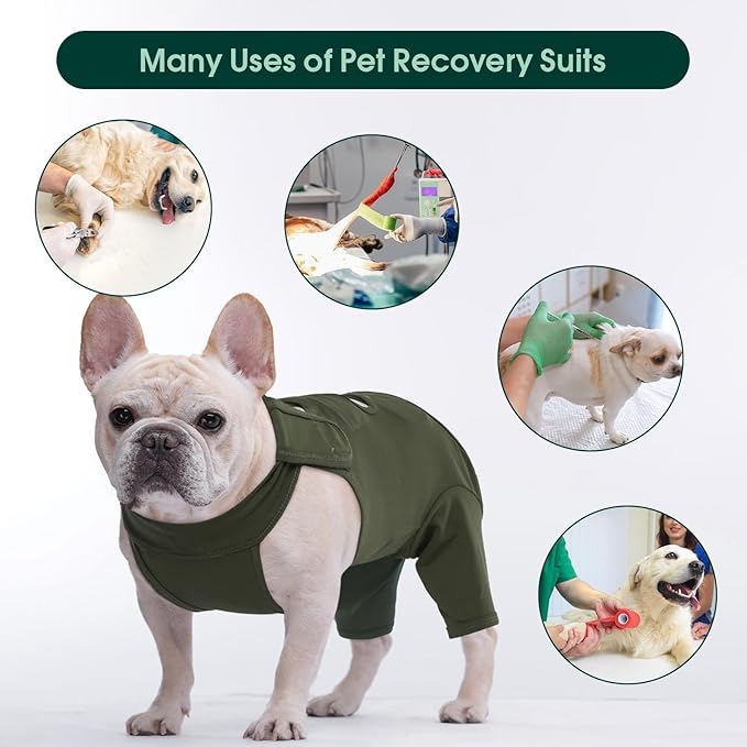 Kuoser Thigh Wound Protective Sleeve for Dogs, Dog Surgery Recovery Suit for Rear Legs, Dog Recovery Sleeve for Female Male Dogs, Dog Onesie After Surgery Pet Surgical Suit for Spay Neuter, Green