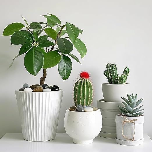 River Rocks for Landscaping, 40lbs Colorful Pebbles for Indoor Plants, 1-2 Inch Decorative Rocks for Planters, High Polished Stones for Vase Filler Fish Tank Garden