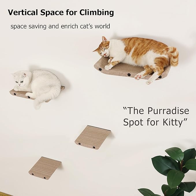 Wall Mounted Cat Shelves and Perches,Scratchable Cat Beds & Furniture for Indoor Cats, Soft PET Felt Feline Climbing Wall Set, Modern Jungle Gym System for Lounging and Sleeping(Set of 4-Oatmeal)